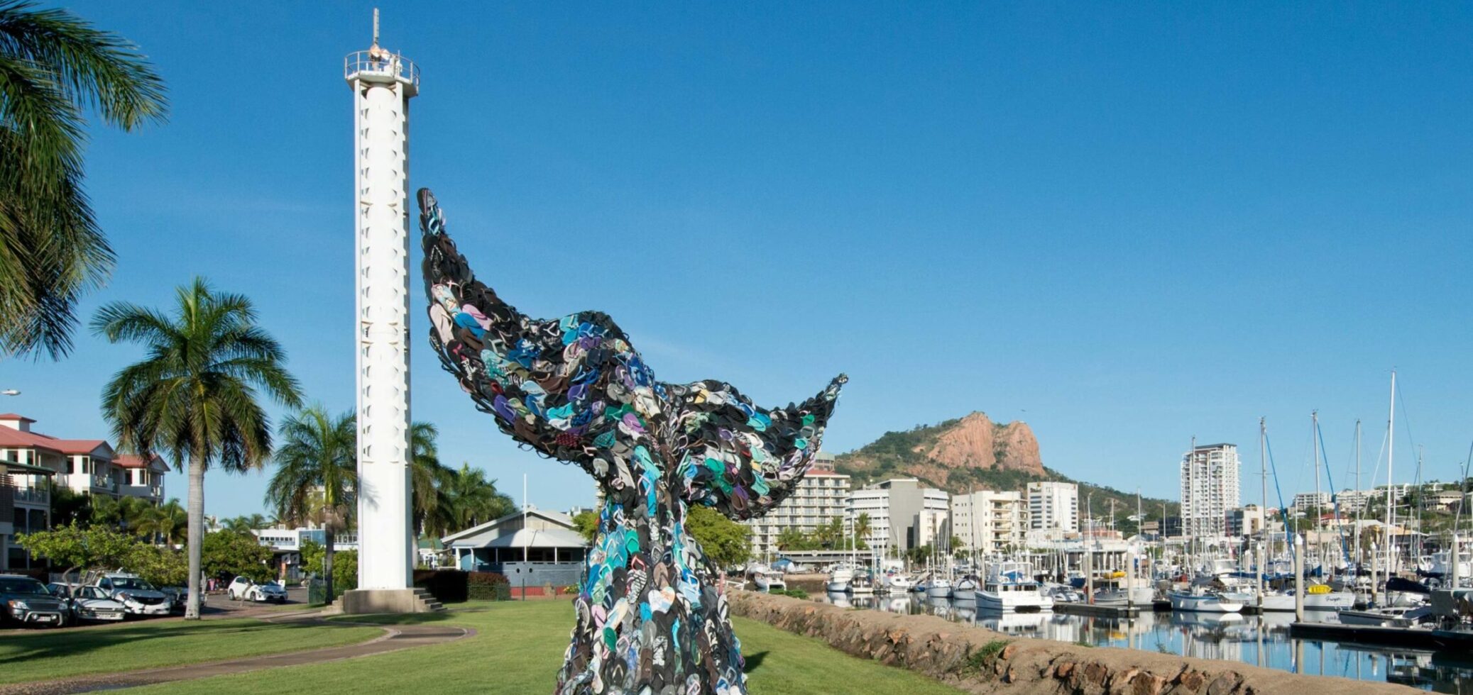 Townsville Whale Tail