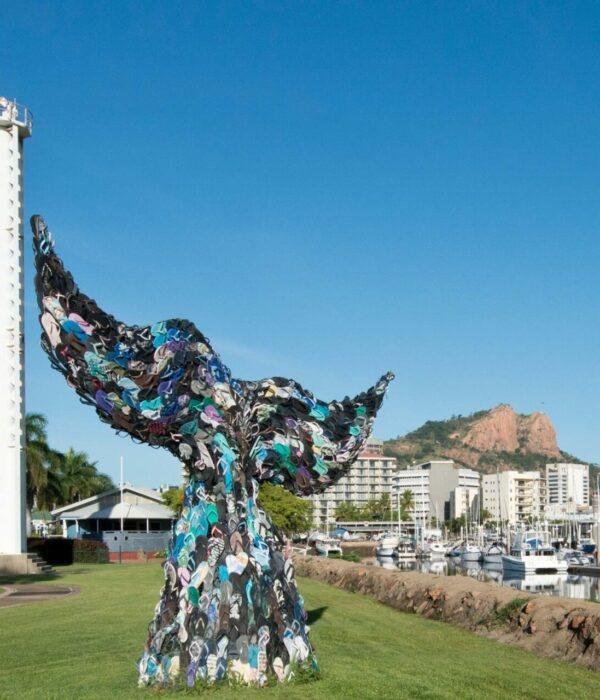 Townsville Whale Tail